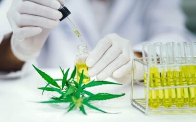 VA Still Rejects Cannabis Research
