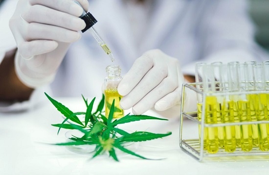 VA Still Rejects Cannabis Research