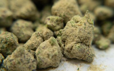 Is Moon Rock the Strongest Weed Strain?