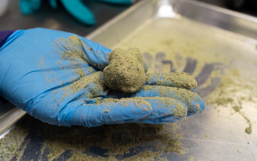 What Is Moonrock Weed and How Strong Is It?